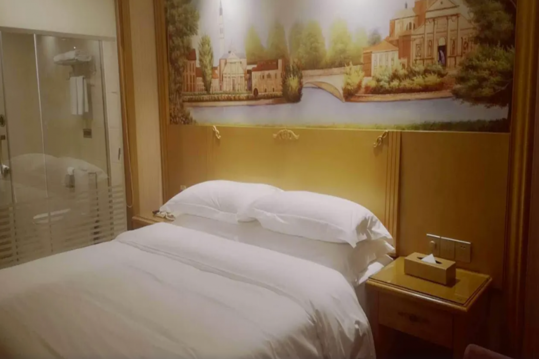 Vienna Hotel (Hefei Mingzhu Square University Town) 10/25