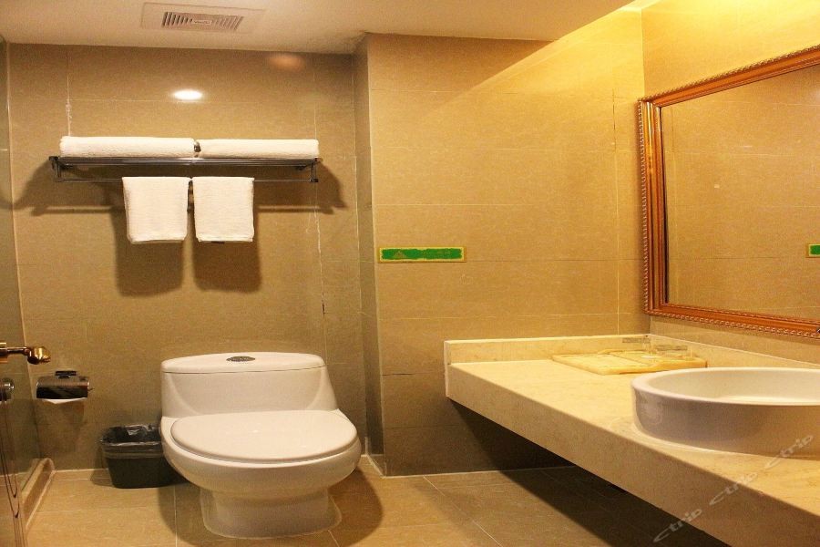 Vienna Hotel (Shenzhen Convention and Exhibition Center, Fuhai Qiaotou) 49/63