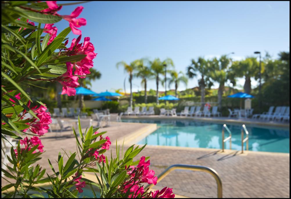 Caribe Cove Resort 29/66