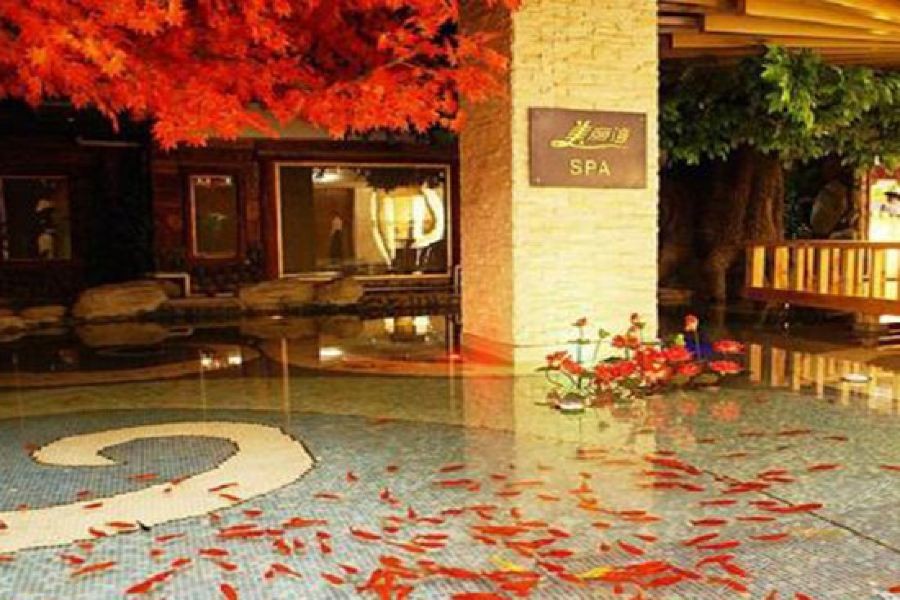 Sweetland Hotel 27/43