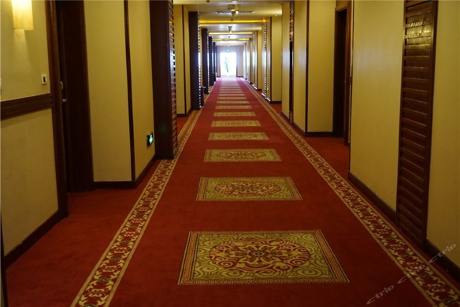 Plateau Pearl Hotel (Kunming Yongzhong Road) 29/66