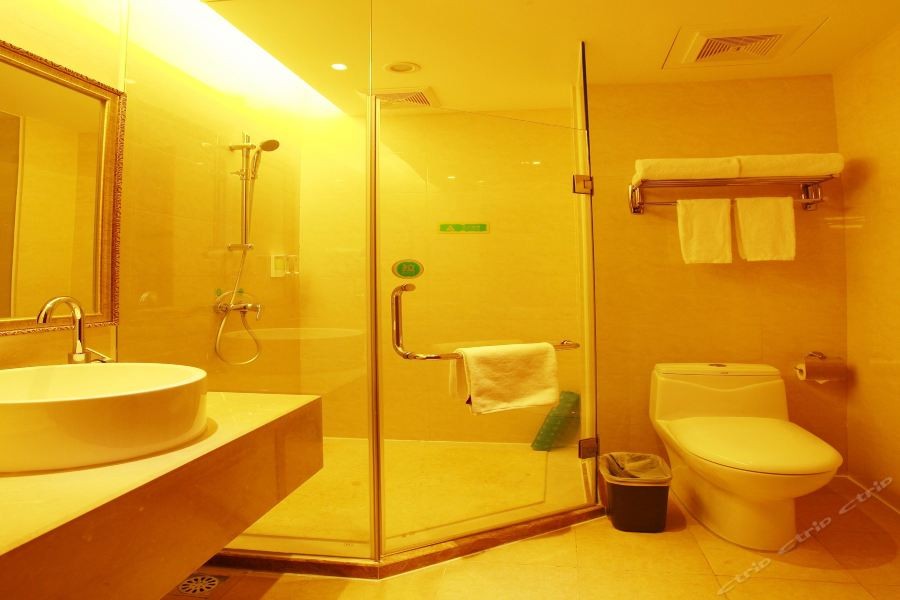 Vienna Hotel (Dongguan Songshan Lake) 29/43