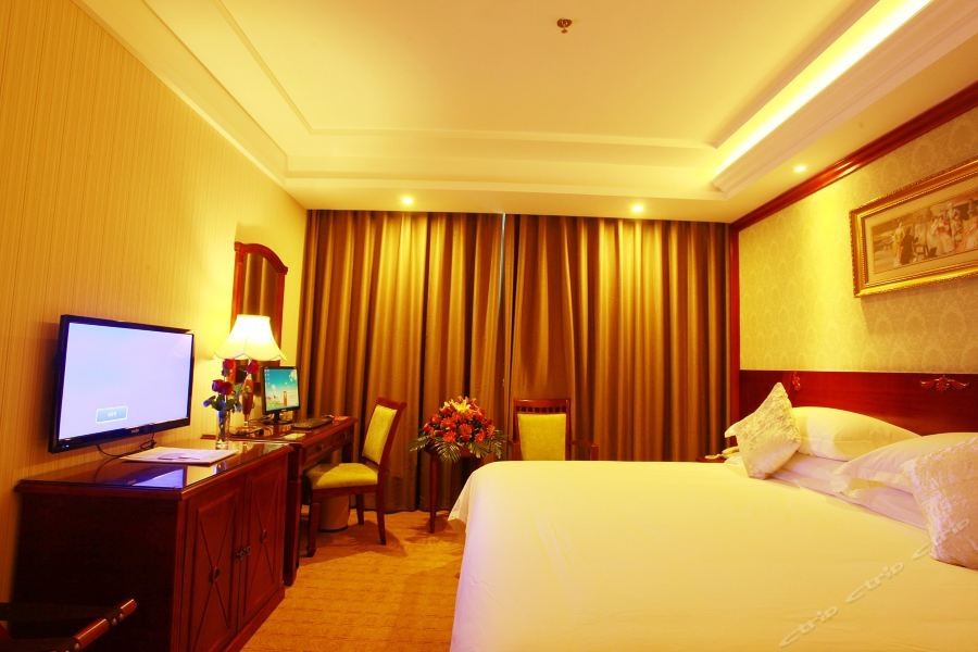 Vienna Hotel (Dongguan Songshan Lake) 33/43