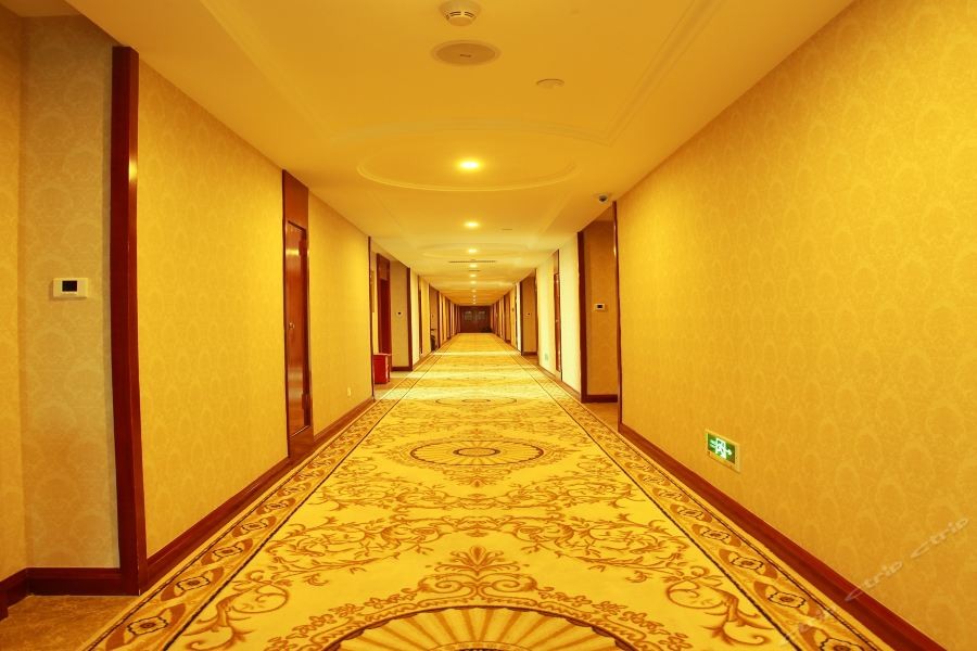 Vienna Hotel (Dongguan Songshan Lake) 26/43