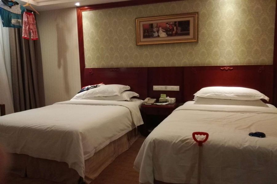 Vienna Hotel (Dongguan Songshan Lake) 25/43