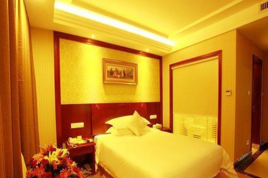 Vienna Hotel (Dongguan Songshan Lake) 22/43