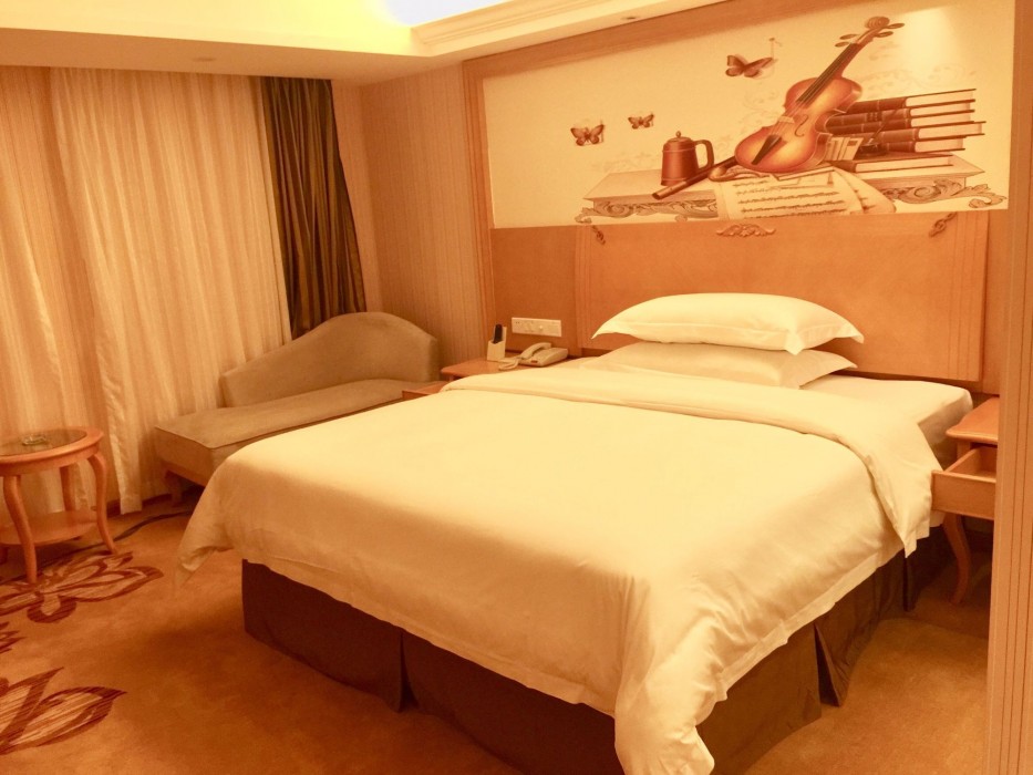Vienna Hotel Shunde Rongui Branch 20/34