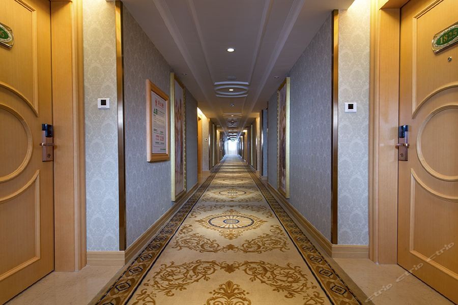 Vienna Hotel (Shenzhen Shanglilang Metro Station) 39/60