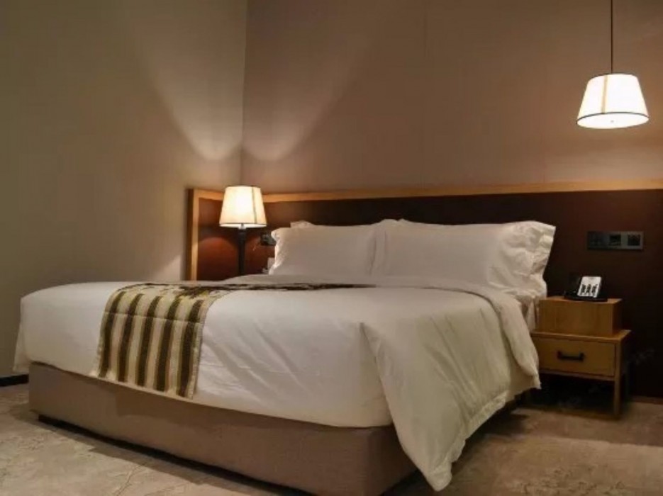 Dynasty Hotel (Shenzhen Futian Port) 45/62