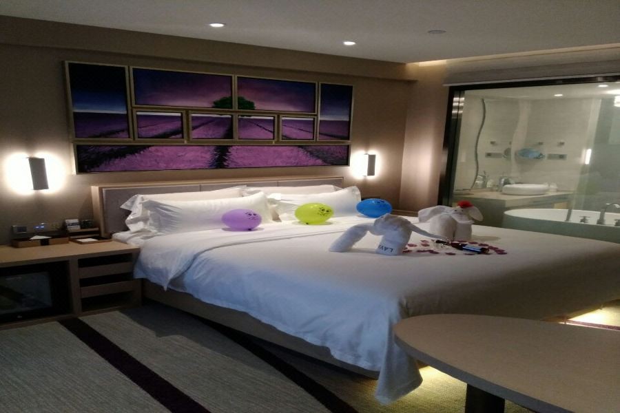 Lavande Hotels (Harbin Xuanhua Street Nangang District Govertment) 26/44