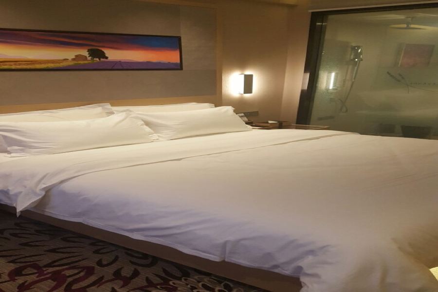 Lavande Hotels (Harbin Xuanhua Street Nangang District Govertment) 19/44