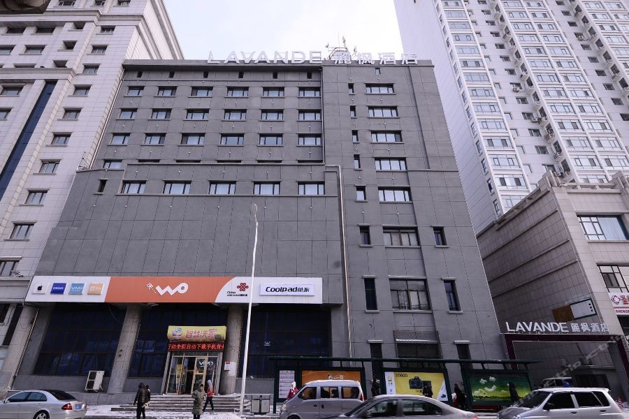 Lavande Hotels (Harbin Xuanhua Street Nangang District Govertment) 31/44