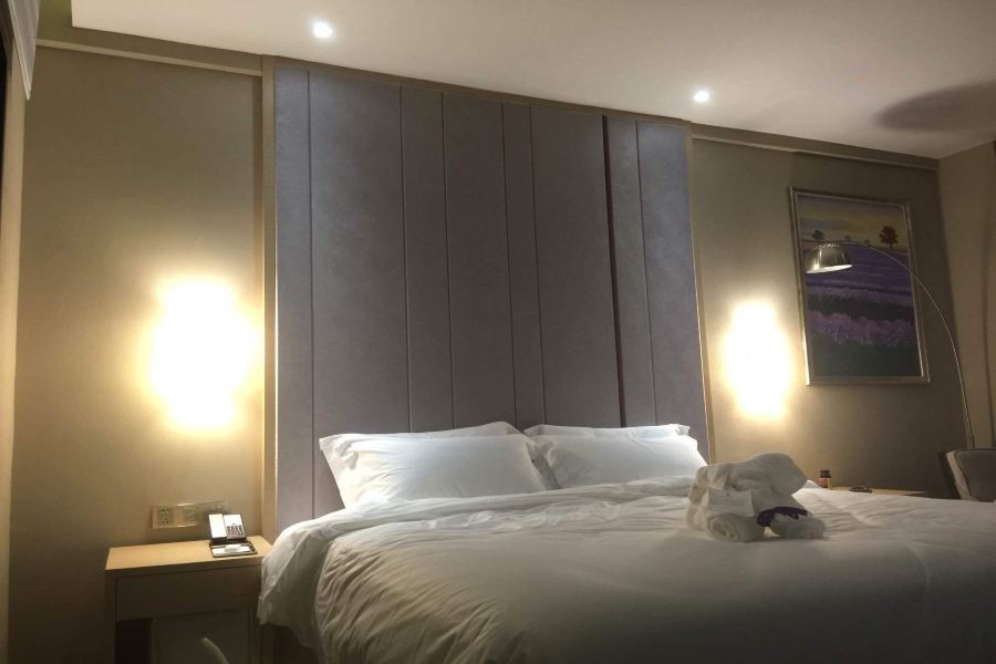 Lavande Hotel (Leshan High-Speed Railway Wanda Plaza) 45/69