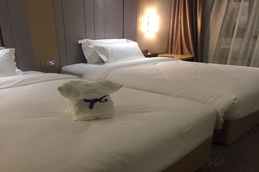 Lavande Hotel (Leshan High-Speed Railway Wanda Plaza) 51/69