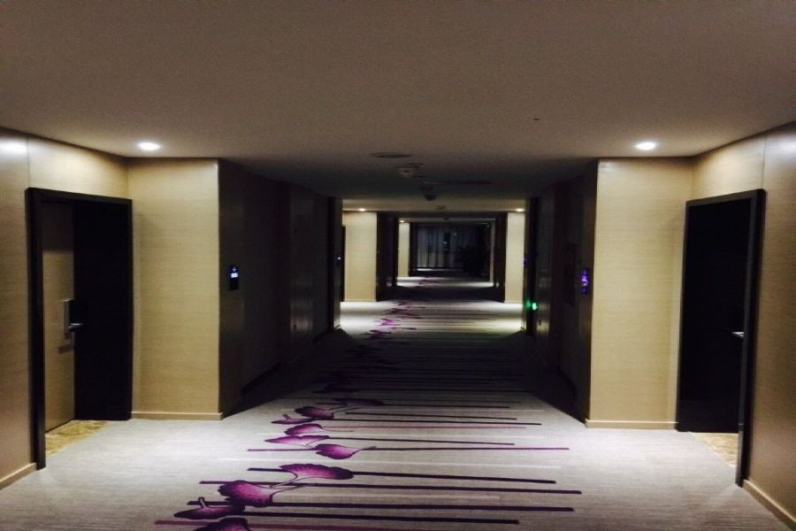 Lavande Hotel (Leshan High-Speed Railway Wanda Plaza) 50/69