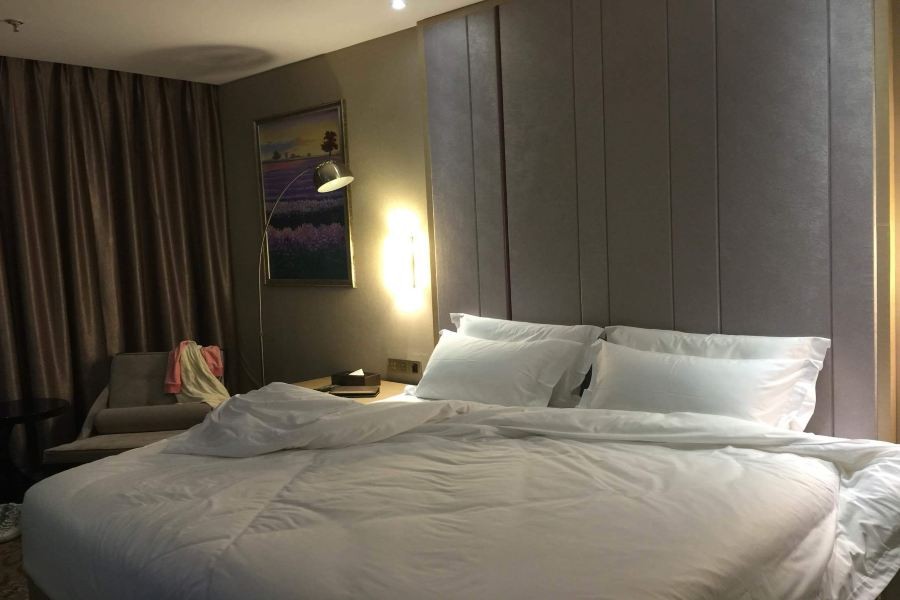 Lavande Hotel (Leshan High-Speed Railway Wanda Plaza) 44/69