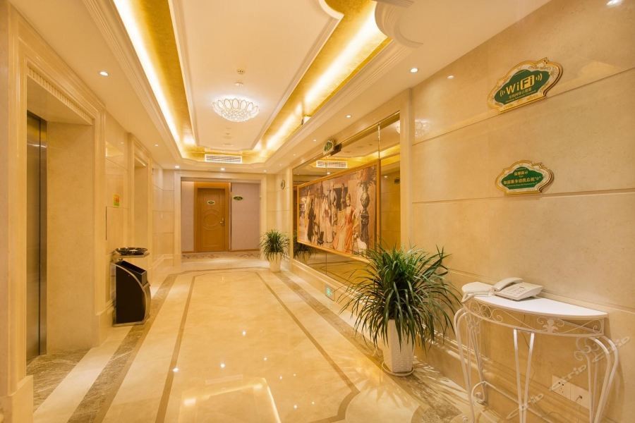 Vienna International Hotel (Changsha Hongxing Desiqin Plaza) 25/49