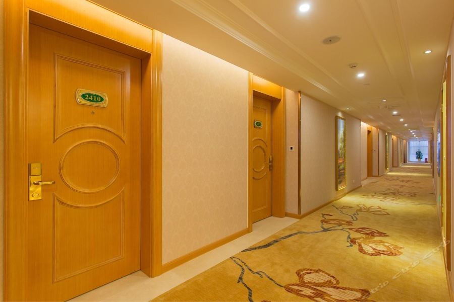 Vienna International Hotel (Changsha Hongxing Desiqin Plaza) 20/49