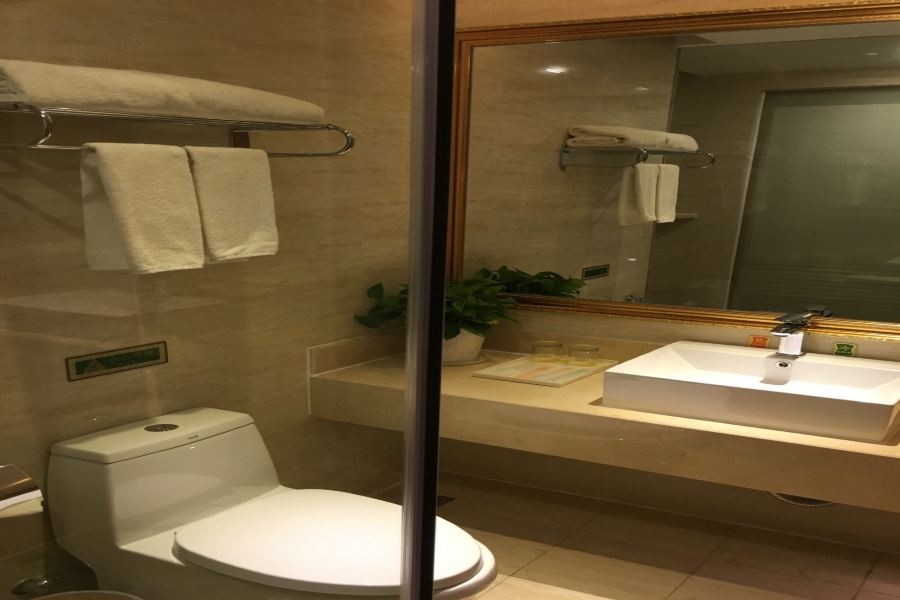 Vienna International Hotel (Changsha Hongxing Desiqin Plaza) 29/49