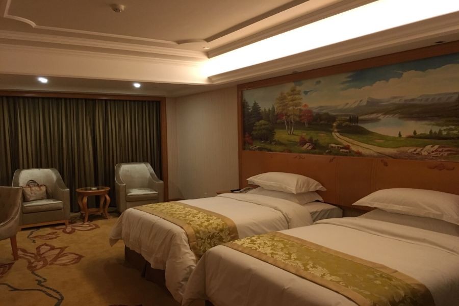 Vienna International Hotel (Changsha Hongxing Desiqin Plaza) 22/49