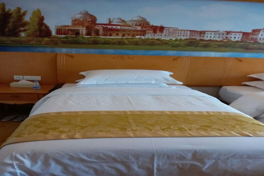 Vienna International Hotel (Changsha Hongxing Desiqin Plaza) 35/49