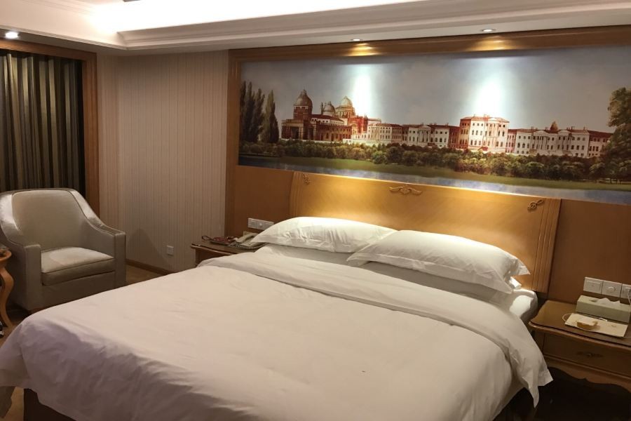 Vienna International Hotel (Changsha Hongxing Desiqin Plaza) 26/49