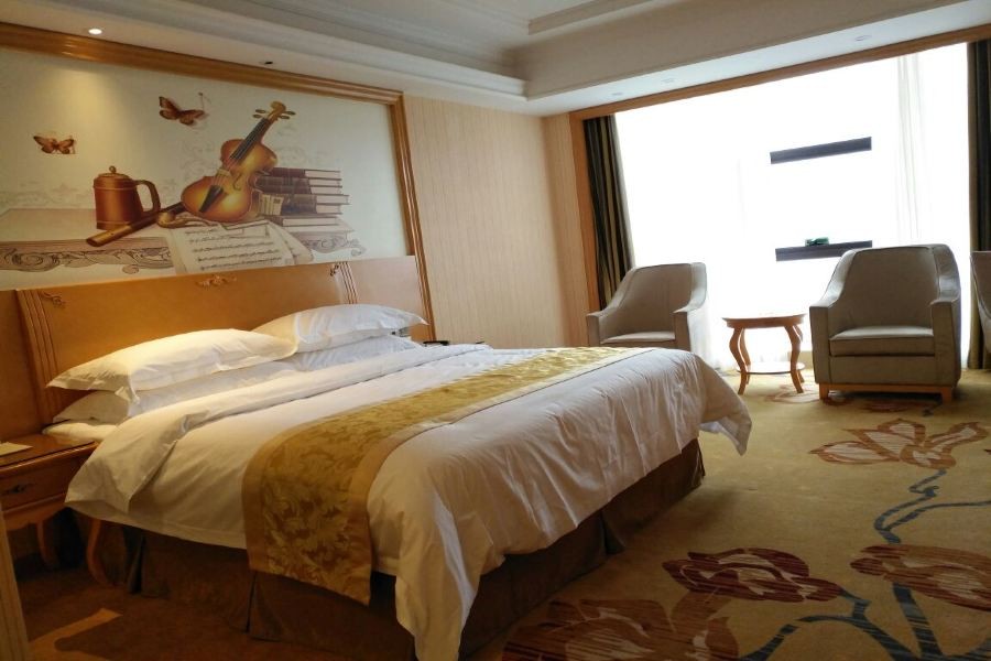 Vienna International Hotel (Changsha Hongxing Desiqin Plaza) 32/49