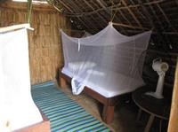 Kipepeo Beach And Village 28/62