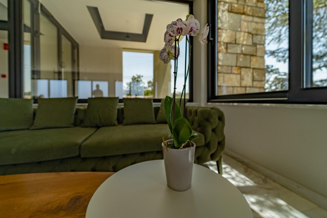 Achilles Hill Hotel 24/100