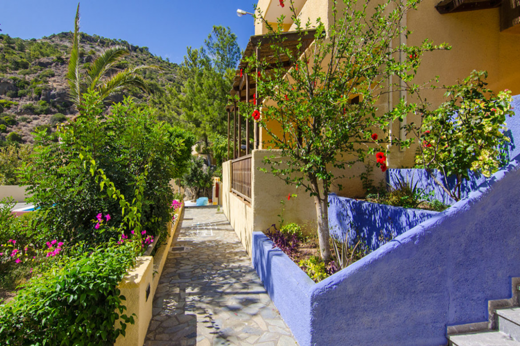 Porfyra Village photo2