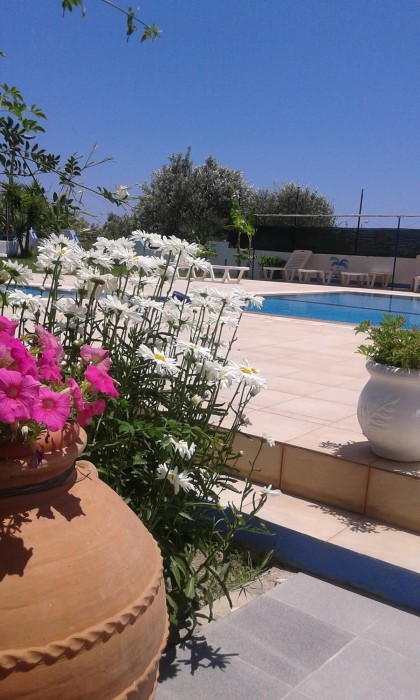 Eleni Apart Hotel 47/69