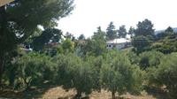 Artemis Plaza 40/76
