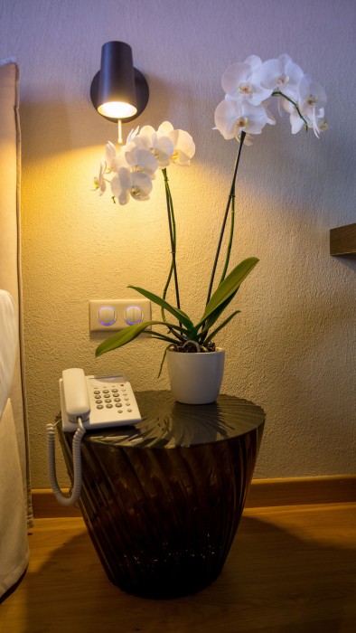 Allegory精品酒店(Allegory Boutique Hotel) 图片4