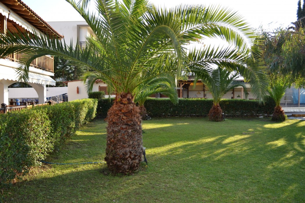 Regos Resort Hotel 48/78