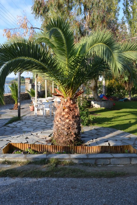 Regos Resort Hotel 46/78