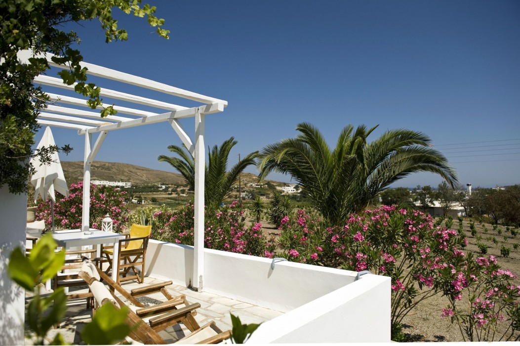 Kostantakis Winery 45/80
