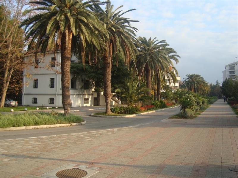 Apartments Kojic 43/75