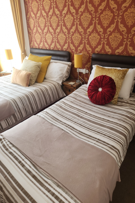 OYO Twins Palms Guest House 9/59