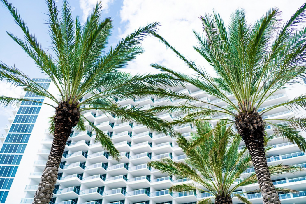 Eden Roc Miami Beach 6/89