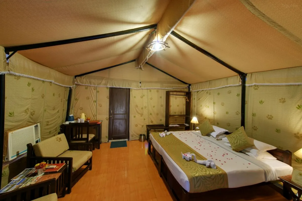 Gir Lion Safari Camp 6/36