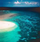 Wilson Island Resort 7/38