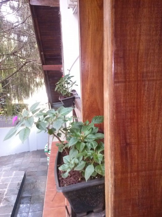 Petit Hotel Caraguata 18/39