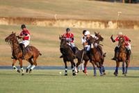 Apes Hill Golf And Polo Club 45/91