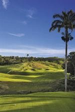 Apes Hill Golf And Polo Club 55/91