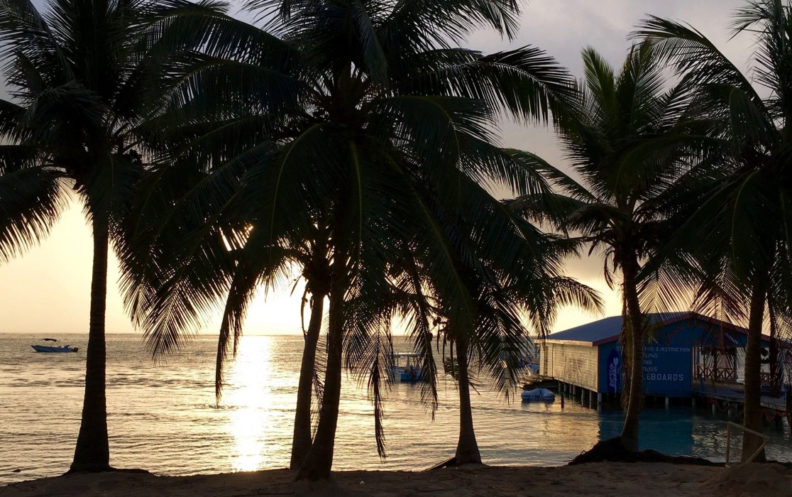 The Palapa House 27/85