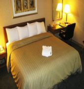 Wyndham Gatineau-Ottawa & Conference Centre 7/58