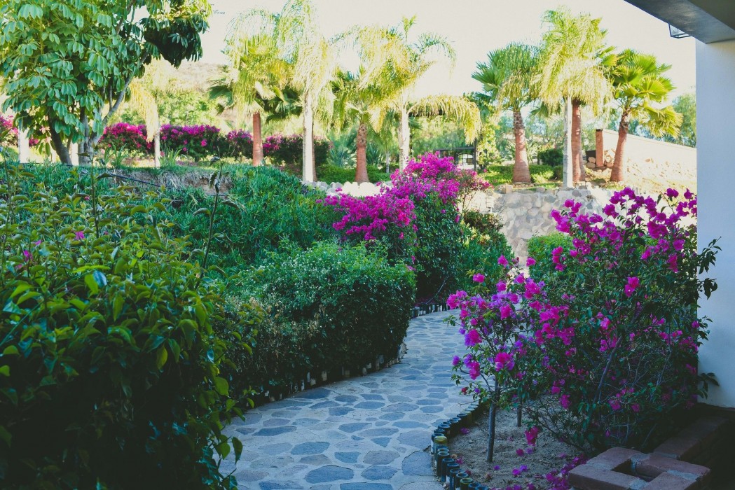 Hotel Hacienda Guadalupe 18/100