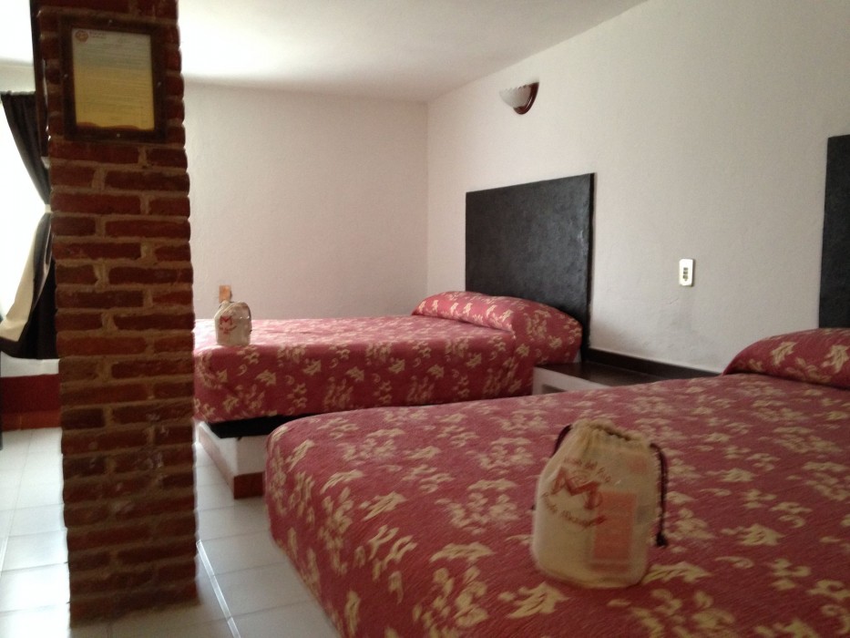 Capital O Hotel Meson Del Rio, Tepotzotlan 73/106