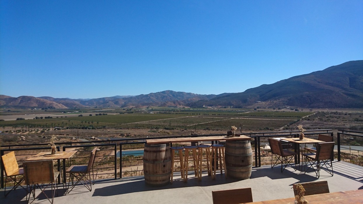 Encuentro Guadalupe 31/72