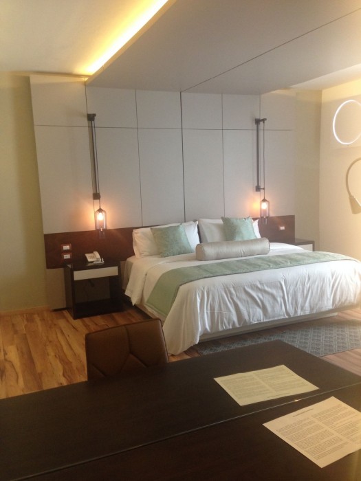 Alesia Hotel 16/52
